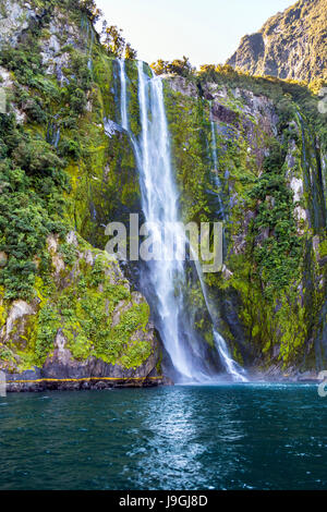 De superbes chutes Stirling (Waimanu Falls) dans la région de Milford Sound fiordland, Nouvelle-Zélande Banque D'Images