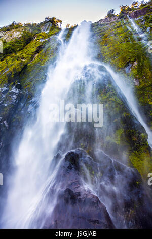 De superbes chutes Stirling (Waimanu Falls) dans la région de Milford Sound fiordland, Nouvelle-Zélande Banque D'Images