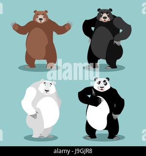 Définir les ours se reproduisent. Le grizzli et panda. L'ours noir américain baribal. Polar. Différentes poses animal sauvage. Les animaux carnivores Illustration de Vecteur