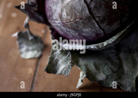 Naranjo en Flor est un studio de photographie, basée à Santiago du Chili. Nous créons des images avec responsabilité et de bon goût. Banque D'Images