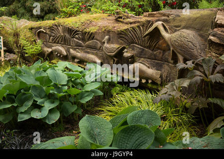 Royaume-uni l'Angleterre, dans le Dorset, Abbotsbury, tombé sous les jardins tropicaux, tronc d'arbre sculpté avec rivière scène d'oiseaux et de poissons Banque D'Images