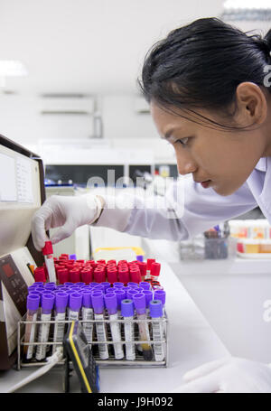 Femme travaillant avec des tubes de sang dans un laboratoire d'hôpital. Le médecin vérifie le sang des patients. Banque D'Images