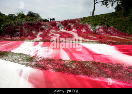 Aarhus, Danemark. 09Th Juin, 2017. Katharina Grosse's art installation a créé d'énormes réactions après l'artiste allemand a peint une partie du paysage urbain Mindeparken avec peinture acrylique blanc et rouge dans le cadre de l'art museum Kunstmuseum ARoS sur l'exposition va "Le Jardin" à Aarhus. Gonzales : Crédit Photo/Alamy Live News Banque D'Images