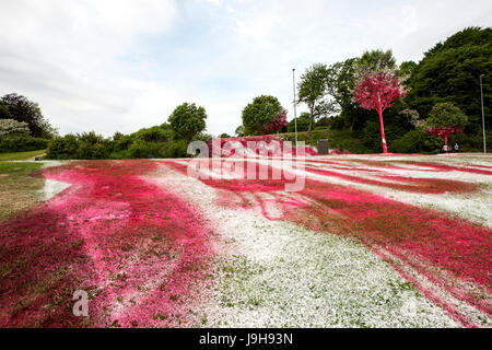 Aarhus, Danemark. 09Th Juin, 2017. Katharina Grosse's art installation a créé d'énormes réactions après l'artiste allemand a peint une partie du paysage urbain Mindeparken avec peinture acrylique blanc et rouge dans le cadre de l'art museum Kunstmuseum ARoS sur l'exposition va "Le Jardin" à Aarhus. Gonzales : Crédit Photo/Alamy Live News Banque D'Images