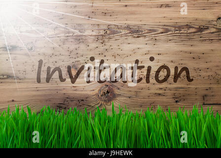 Sunny Background, Gras, texte Invitation Banque D'Images