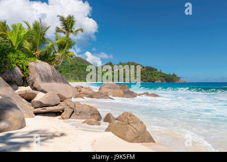 Excellente plage plages tropicales, Intendance, l'île de Mahé, Seychelles. Banque D'Images