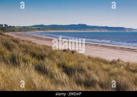 L'Irlande, le comté de Wexford, Curracloe, Curracloe Beach, se substituer à Omaha Beach dans le film, il faut sauver le soldat Ryan Banque D'Images