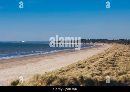 L'Irlande, le comté de Wexford, Curracloe, Curracloe Beach, se substituer à Omaha Beach dans le film, il faut sauver le soldat Ryan Banque D'Images