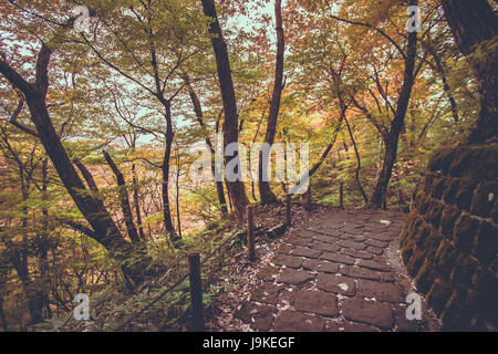 Chemin de ronde sur Nyoho Mt. avec feuille d'érable japonais. Cascades Kirifuri bel automne au parc national de Nikko, au Japon. Des feuilles de couleur pour changer re Banque D'Images