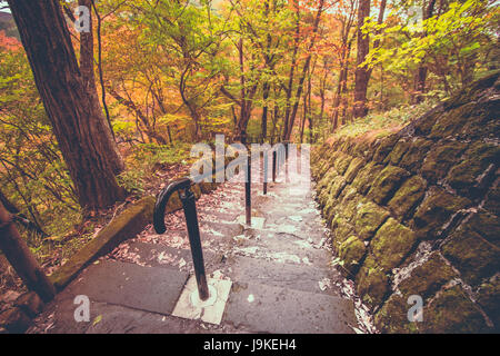 Chemin de ronde sur Nyoho Mt. avec feuille d'érable japonais. Cascades Kirifuri bel automne au parc national de Nikko, au Japon. Des feuilles de couleur pour changer re Banque D'Images