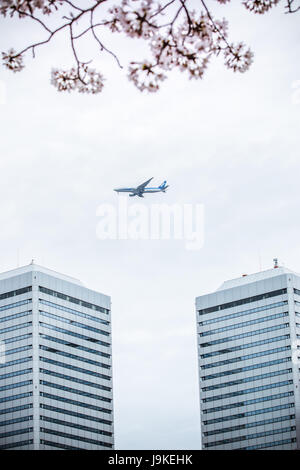 Voler sur un avion de l'aéroport international d'Osaka Cityspace, vue sur le bâtiment et sakura tree à Osaka Castle Park, ohanami et cherry blossom festiv Banque D'Images