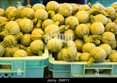 Petites courgettes rondes en vente sur un étal de marché à Malte Banque D'Images