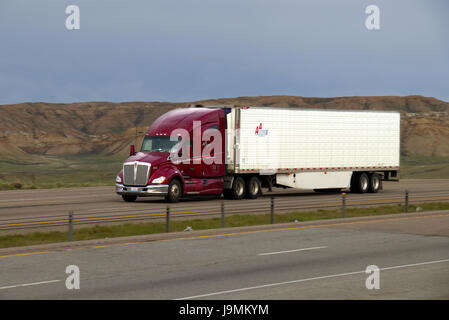 Un marron ou rouge Kenworth Semi-Truck tire une remorque blanc le long d'une autoroute nous rural. Banque D'Images