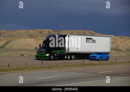 Un Semi-Truck Peterbilt noir blanc tirant une remorque 'Premier Inc." à côté d'un Ford Mustang bleu sur une autoroute nous Rural. Banque D'Images