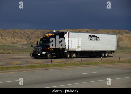 Black 'trans' Wil Peterbilt Semi-Truck blanc tirant une remorque 'Premier Inc.' le long d'une route rurale-nous. Banque D'Images