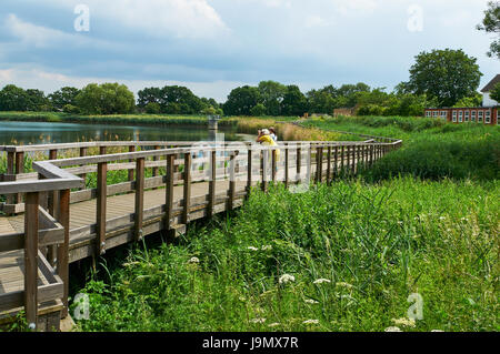 Au passage, les terres humides Woodberry, Stoke Newington North London UK Banque D'Images