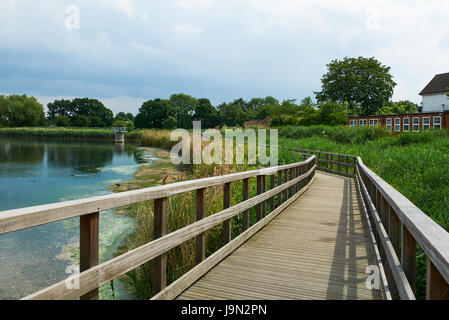 Woodberry Zones Humides, North Stoke Newington London UK, en été Banque D'Images