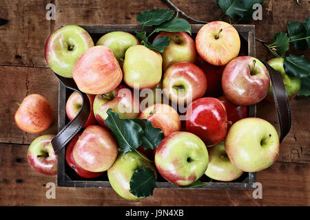 Le boisseau de pommes fraîchement cueillies dans une vieille caisse en bois vintage avec poignées en cuir sur une table en bois rustique. Tourné à partir de l'image ci-dessus. Banque D'Images