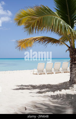 Chaises longues sur une plage magnifique sur l'île de Saona avec son sable blanc et des eaux bleu azur, la République Dominicaine Banque D'Images