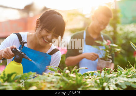 Photo de deux jeunes chinois travaillant dans la boutique de fleuriste Banque D'Images
