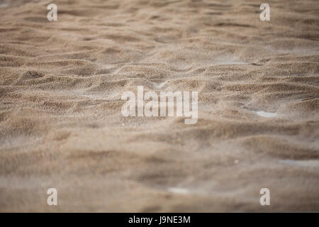 Dunes de sable minuscule faite par le courant de l'eau. Banque D'Images