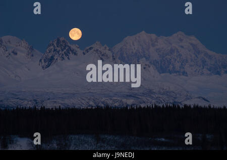 La lune émerge de derrière les montagnes en Denali Banque D'Images