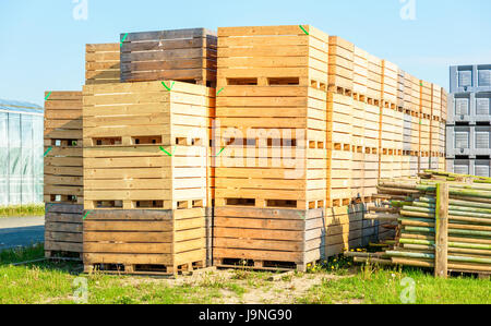 Caisses en bois vides empilés sur des palettes à l'extérieur. Une partie des émissions visibles en arrière-plan. Banque D'Images