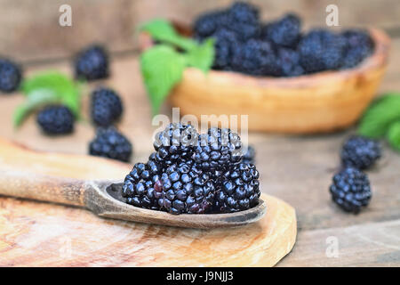 Cuillère en bois rempli de mûres fraîches. L'extrême profondeur de champ avec focus sélectif sur les baies. Banque D'Images