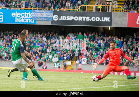 New Zealand's Stefan Marinovic (droite) enregistre un coup de l'Irlande du Nord Josh Magennis (à gauche) au cours de la match amical à Windsor Park, Belfast. Banque D'Images