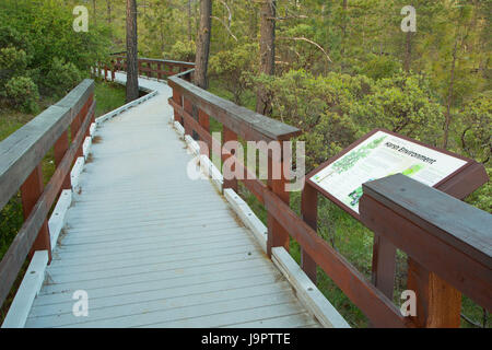 Huit Dollar Mountain , promenade d'interprétation de la zone dollar huit d'une préoccupation environnementale, l'Illinois Wild and Scenic River Siskiyou, Banque D'Images