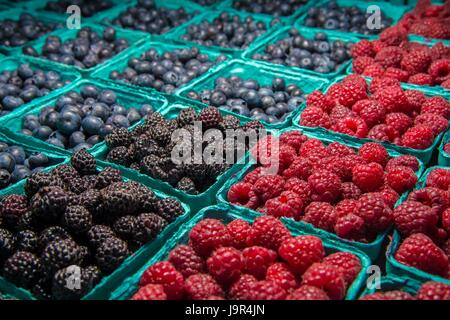 Les framboises, les bleuets et les mûres sur l'affichage à l'USDA Farmers Market, 26 mai 2017 à Washington, D.C. Banque D'Images