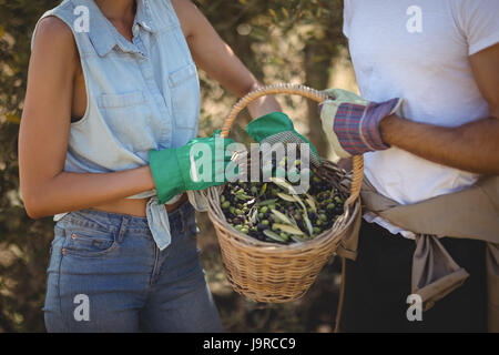 Mid section of young couple holding olives dans panier à la ferme Banque D'Images