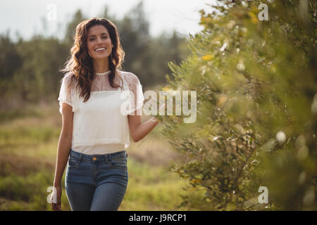 Portrait de belle jeune femme debout par des arbres à la ferme d'olive Banque D'Images