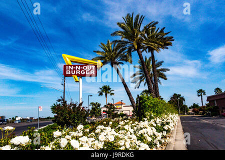 Un In-N-Out Hamburger à Modesto en Californie Banque D'Images