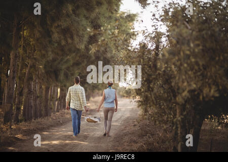 Vue arrière du couple carrying basket en marchant sur un chemin de terre au niveau de l'exploitation Banque D'Images