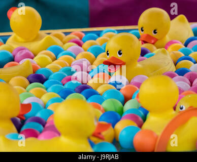 Canards en caoutchouc sur le mi-chemin d'un juste. Banque D'Images