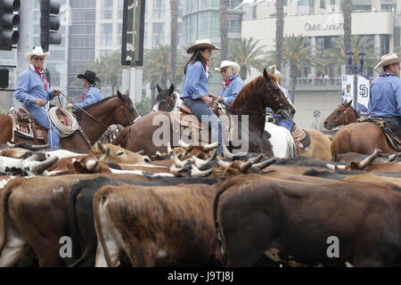 San Diego, CA, USA. 3 juin, 2017. Le bétail a été arpenté les rues du centre-ville de San Diego dans le cadre de la Foire du Comté de San Diego où l'Ouest est thème amusant. La seule opposition à l'événement ont été une poignée de manifestants pour les droits des animaux. La foire a ouvert le 2 juin et se poursuivra jusqu'au 4 juillet. Crédit : John Gastaldo/ZUMA/Alamy Fil Live News Banque D'Images