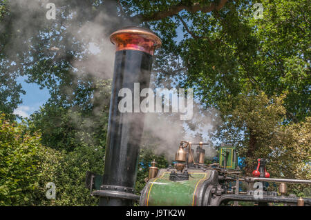 Hadlow Down, Uckfield, East Sussex, Royaume-Uni. 3 juin 2017. Une journée de famille glorieuse à la 52ème édition annuelle de Tinkers Park l'un des plus anciens événements de son type dans le sud de l'Angleterre.Credit: Banque D'Images