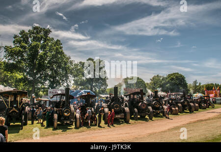 Hadlow Down, Uckfield, East Sussex, Royaume-Uni. 3 juin 2017. Une journée de famille glorieuse à la 52ème édition annuelle de Tinkers Park l'un des plus anciens événements de son type dans le sud de l'Angleterre.Credit: Banque D'Images