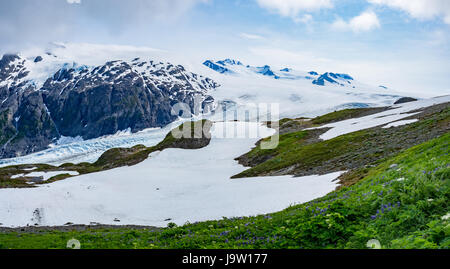 Vue panoramique du glacier à partir de la sortie La sortie Glacier près du sommet le long d'une journée de juillet avec enneigés des montagnes au loin et vert fo Banque D'Images