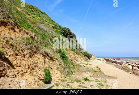 Une vue de l'érosion des falaises et des défenses de la mer en Amérique du Norfolk à mundesley-sur-Mer, Norfolk, Angleterre, Royaume-Uni. Banque D'Images