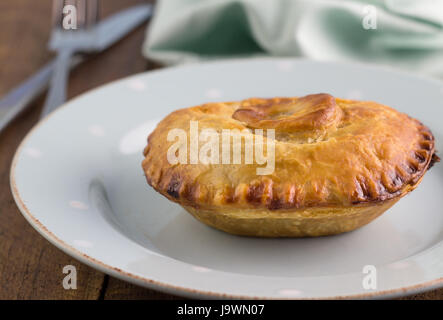 Tourte à la viande de boeuf avec sauce - boeuf en croûte à tarte close up sur platine - Contexte de l'alimentation Banque D'Images