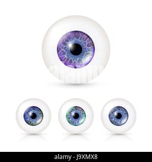 Les yeux fixés avec de grands iris en couleur. Vector Illustration of 3D détaillés avec des yeux brillant de l'ombre et la réflexion. Cornée. Vue de face. O isolés Illustration de Vecteur