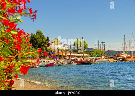 Bodrum town East bay area et 'bar' de la rue piétonnière, Province de Mugla, Turquie. Banque D'Images