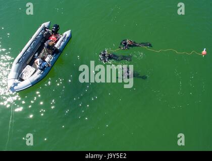 Les marins de la Marine royale des Pays-Bas une plongée Maritime à coque rigide dans la mer Baltique au cours de l'exercice Baltic Operations 13 juin 2015 près de Ustka, Pologne. (Photo par John Callahan /US Navy par Planetpix) Banque D'Images