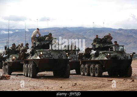 Des soldats de la Marine américaine à la lumière des véhicules blindés arrivent à l'Alvarez de Sotomayor base militaire au cours de l'exercice Trident Stade 26 Octobre, 2015 à Almeria, Espagne. (Photo par Chad McMeen Planetpix /US Marines via) Banque D'Images