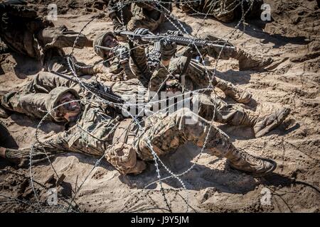 U.S. Marine Corps recrute ramper sous les barbelés creuset pendant l'instruction des recrues à la Marine Corps Recruter Depot Parris Island le 16 octobre 2015 à Parris Island, Caroline du Sud. (Photo de Melissa Marnell /US Marines par Planetpix) Banque D'Images