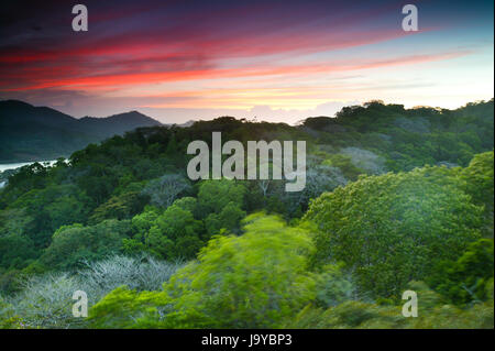 Paysage du Panama au coucher du soleil, à Gamboa, parc national de Soberania, République du Panama, Amérique centrale. Banque D'Images