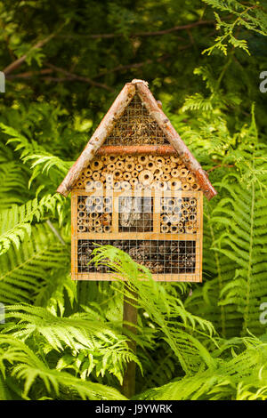 Maison des insectes dans un jardin d'été Banque D'Images