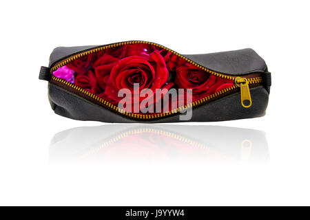 Love concept ,sac en cuir avec rose rouge à l'intérieur isolé sur fond blanc. Banque D'Images